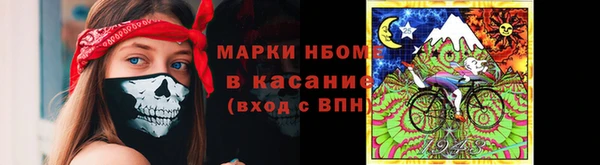 мяу мяу мука Аркадак