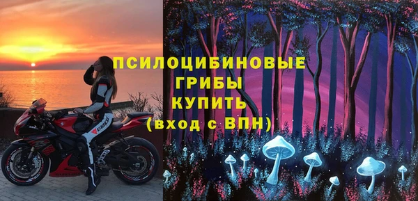мяу мяу мука Аркадак
