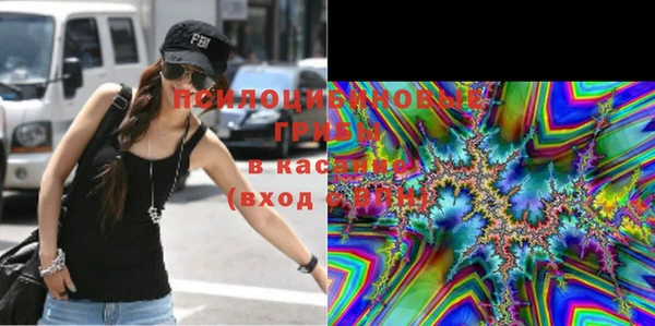 мяу мяу мука Аркадак