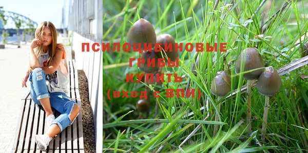 мяу мяу мука Аркадак
