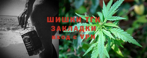 гидра Арсеньев