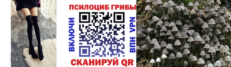 Псилоцибиновые грибы мухоморы Багратионовск